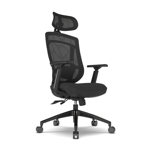 MASTER Ergonomic Chair