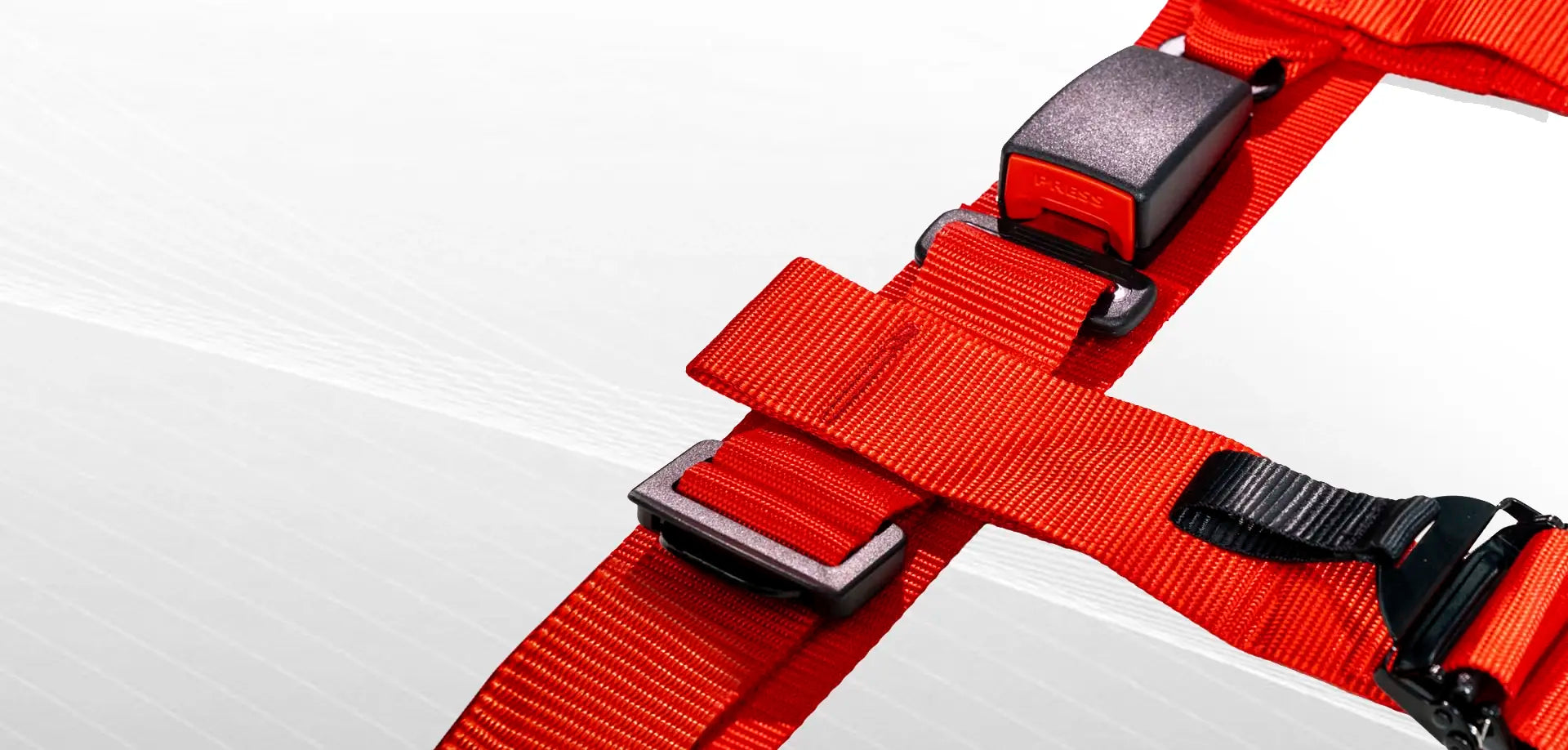 Secure 4-Point Seat Belt System