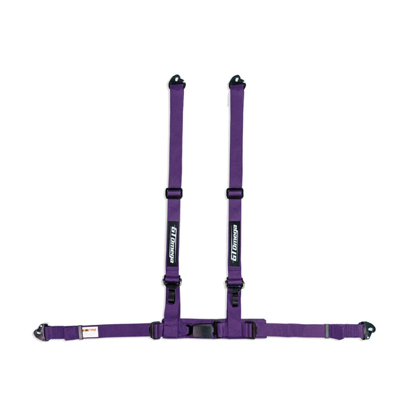 Racing Harness