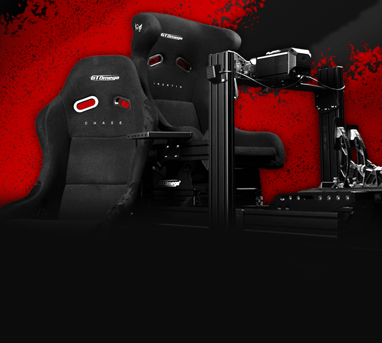 SIM RACING
