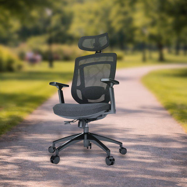 MASTER Ergonomic Chair